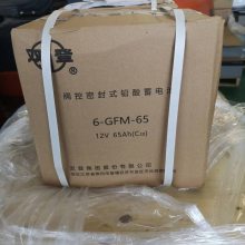 ˫6-GMFϵ6-GFM-65ʽǦ