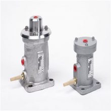 INVICTA VIBRATORSת񶯵