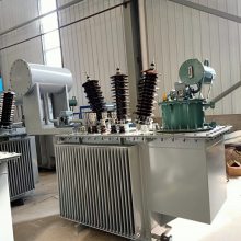 S11-1000KVA/202*2.5/0.4 20KVͽʽѹ о