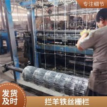防锈养牛羊钢丝网 1.5米高果园圈地铁丝网