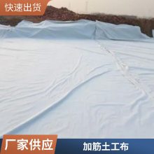 聚酯长丝土工布 道路养护垃圾填埋工程护坡 无纺纤维布