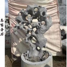 江苏宿迁黑色太湖石景观 宿迁太湖石独石草坪点缀 宿迁太湖石独石价