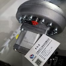 RZ1.4/3-45/M5.5 HAWE柱塞泵 哈威双级泵 德国产