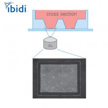 4΢ 4΢-80406 80409¹ibidiױصܴ