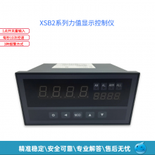 供应XSB2力值显示控制仪XSB2E07拉力显示表系列称重仪表 10V电源（100mA）给现场传感器