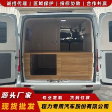 大通V90 B型高顶房车 镇江市 法美瑞现代旅居房车 大电力满足出行