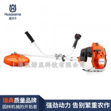 525RSʽ԰ֳݻĻľ޼Husqvarna