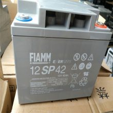 ***12V120AH FIAMM12SP120 ԭװ******UPSרά