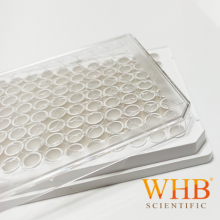 WHB 厂家供应TC处理 标准透明 96孔U形底细胞培养板，灭菌