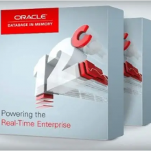 Oracle ҵԭݿ Enterprise Edition oracle