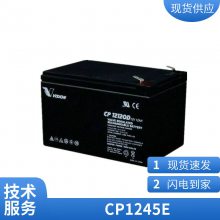 VISIONCP1245E 񷧿ʽǦ12V4.***Hݱբբ