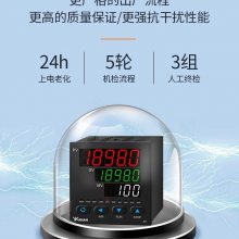 宇电智能温控仪 YUDIAN温控器AI-207/208/518P/701/708P/516
