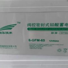 ƻ12V65AH ƻ6-GFM-65 άǦUPS ֻ