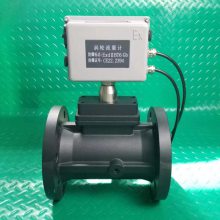 �����Ǳ� ���������� LWQ-D-50LP2 DN50 �ֻ�����