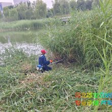 н«έ ˮ  רҵˮˮֲ