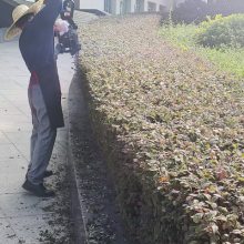 深圳商业地面养护标准 欢迎来电 深圳市顺民实业发展供应