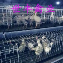 ҵɼ 60캣ɼֳ ۾ũɼ