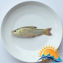 ֻӦˮ˹ֳ_ͭسƿ춡