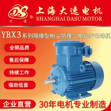 上海大速电机 YBX3防爆电机 三相交流粉尘防爆电动机