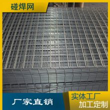 ݳȶп纸 ֳ纸 ֵ纸