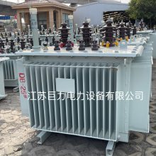 20KVͽʽѹ S13-250KVA/20KVͽʽѹ վ