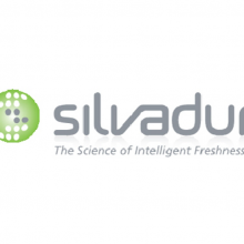 SILVADUR 930FLEX Чӷù