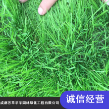 伾ͻ첥_ܷܷͼ̤첥_Ĵɶ첥
