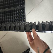 ̼۸ 50Ѩ  