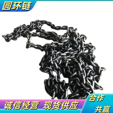 刮板机传动板式链条 NE型斗式提升机用工业输送链 矿用板式圆环链