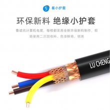 ˫�����μ��������DJYPVRP-1*3*1.5mm2�Ǳ�����