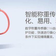 C16i3C3-30T�Ը�λ�����̷��׿����ſ�ƣ����ʽ���ֳ��ش�����