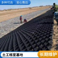 铁路路基桥梁堤坝加筋固土世杰土工格室护坡植草蜂巢网格约束系统