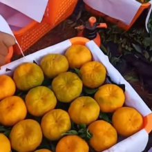 �� ��ˮ���� Ӧ���������Ĵ�ˮ���� ���г� �� ������������