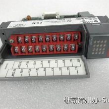 AB ģ�鹩Ӧ 1747-ACNR15