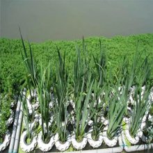  ˮֲֲ ˮʾ ӵ ˮ̻˹