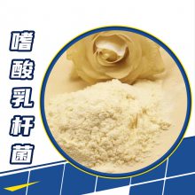 食品级嗜酸乳杆菌 营养强化剂 益生菌 粉末 1kg起批