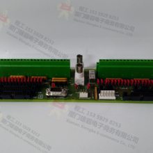 VMIPMC6101 Դģ   PLC/DCSϵͳ