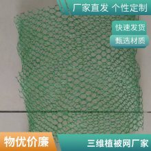 世杰复合土工网垫 垃圾场固土隔离用立体排水网垫 加筋三维植被网