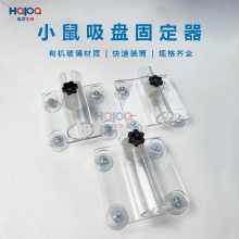 吸盘式单筒小鼠固定器小鼠尾静脉注射实验透明亚克力材质