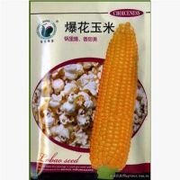 爆米花玉米种子 甜脆可口 爆裂玉米 春夏播蔬菜种子 50g