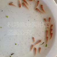 泡ֱʺ޷  ʺ ˮֳ