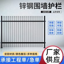 淮盛 学校铁艺隔离防护栏网 别墅庭院围墙 工厂院墙围栏 耐雨淋