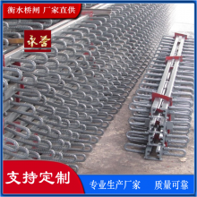公路桥梁伸缩缝 异型钢C8 F型生产 桥闸支持定制 量大从优