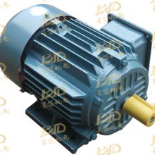Ͼص YE3첽22kw Ч ȶǿ 綯