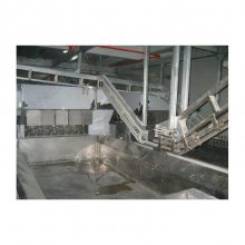 ��ʽ���̻�,����������ë��,��Ѽ������ë��