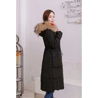 ����*** �������޷� �߷�����ʯ�����й㳡