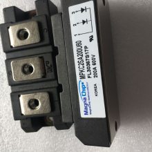ȫ½ڴָMPJC2CA100U40纸ר