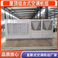 屋顶直膨式医用恒温恒湿洁净空调 机房实验室精密空调机组防爆模块式风冷空调机组