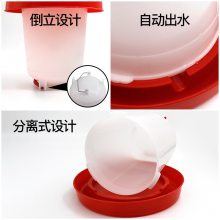 ũʢԶˮˮ