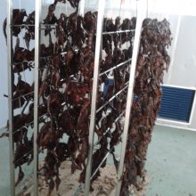 腊味烘干机，咸肉烘干机，腊肠烘干机，香肠烘干机
